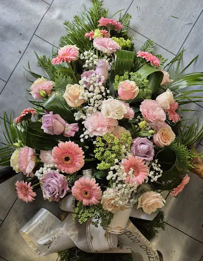 Kwiaciarnia Stenia Pluta